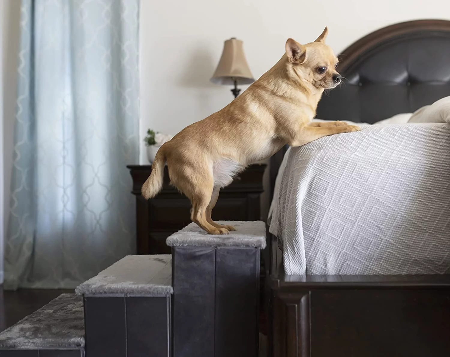 Catry Gray Dog Stair Ladder 3-Steps Sturdy with storage room Extra Stable Special Connection Design 16*20*13 inc with Free Cat Teaser