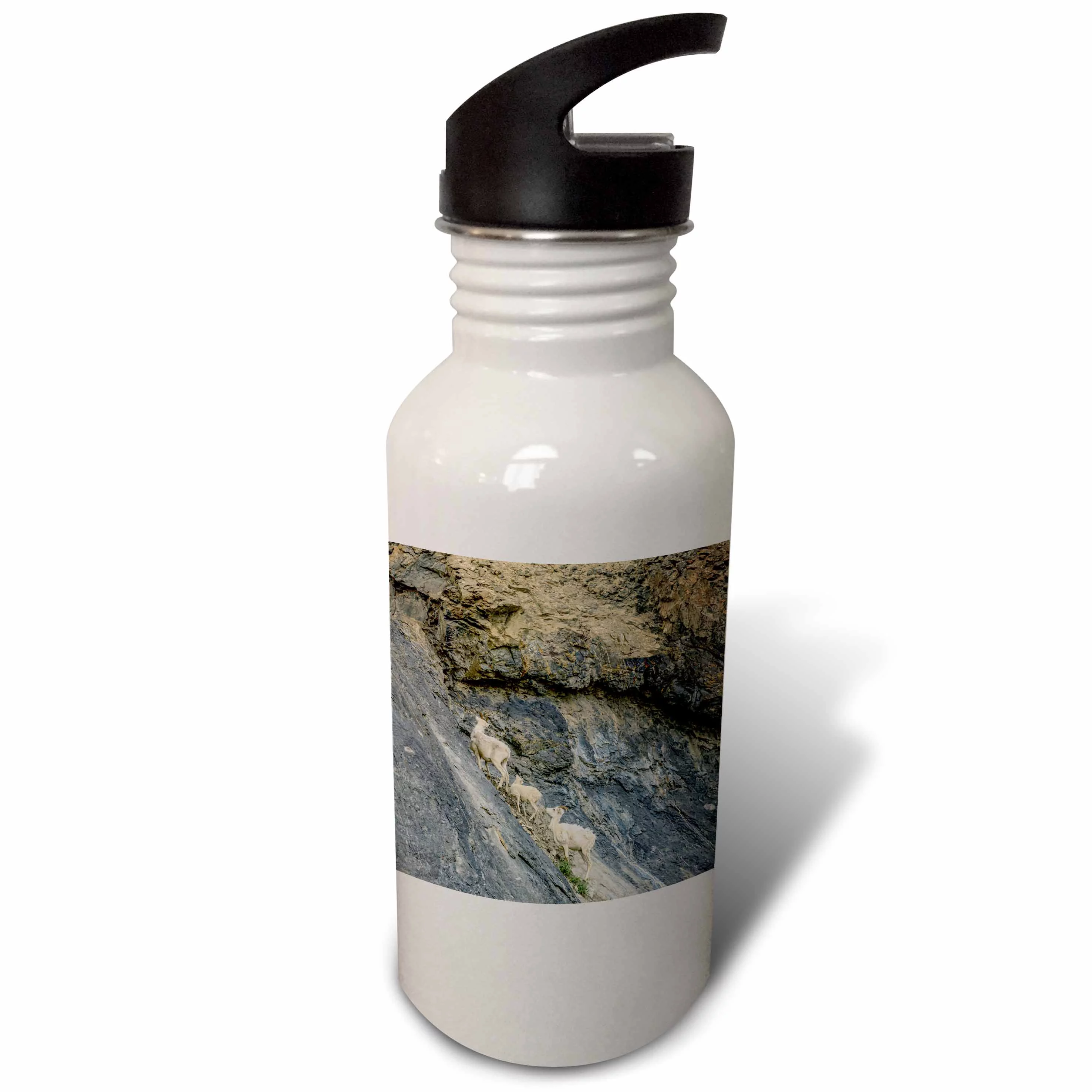 Mountain Goats, Arctic Wildlife Refuge, Alaska, USA - US02 TNO0025 - Tom Norring 21 oz Sports Water Bottle wb-142174-1