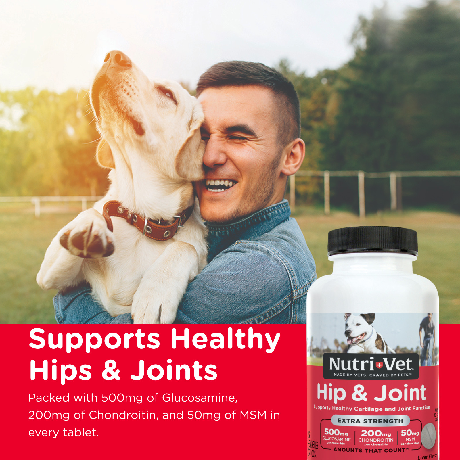 Nutri-Vet Hip & Joint Extra Strength Chewable Dog Supplements, 75 Count