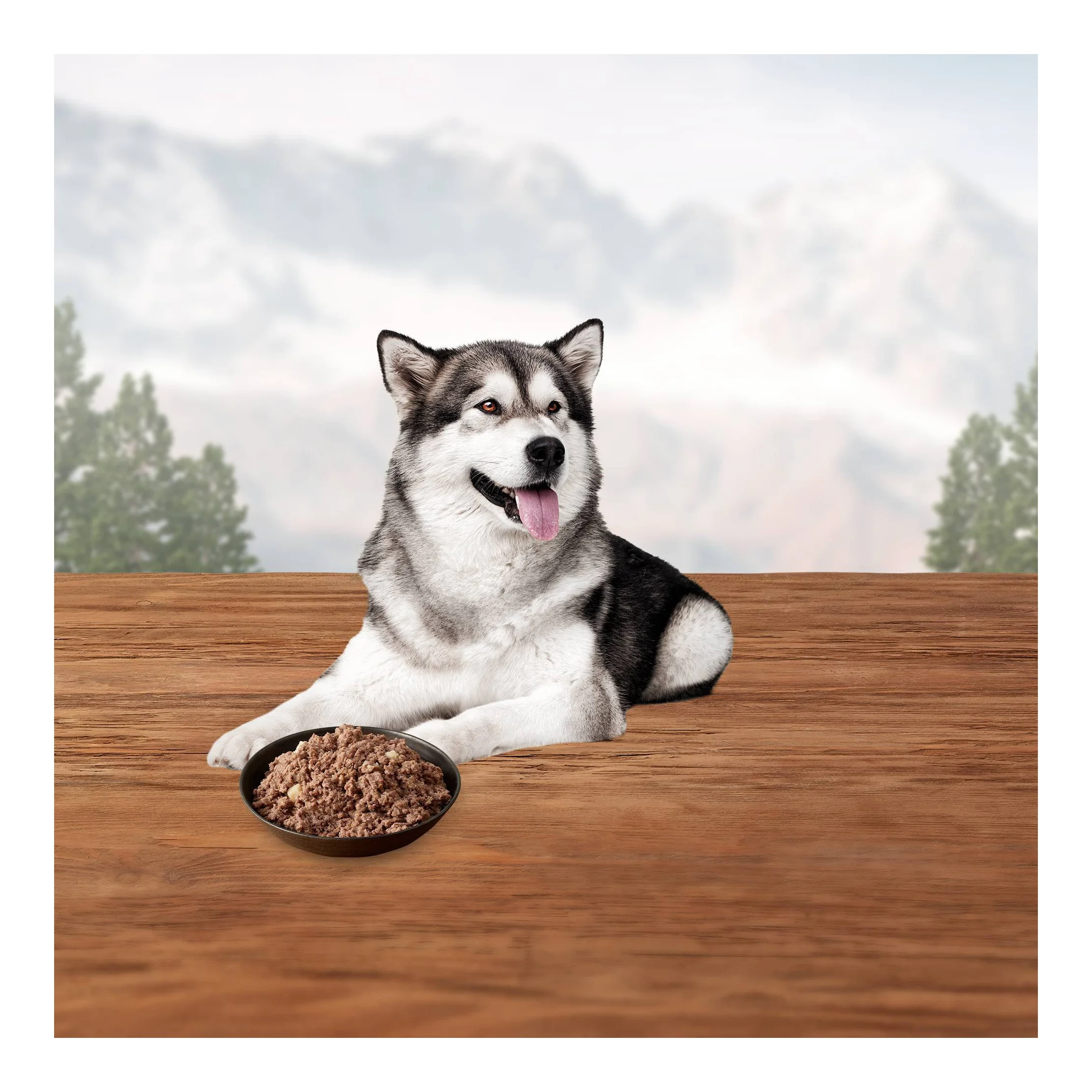 Wilderness Grain Free Wet Dog Food Chicken & Trout Fish Grill - 12.5oz/12ct Pack