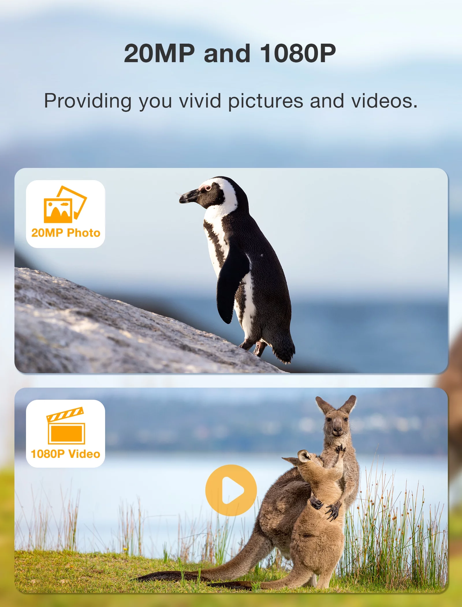 CAMPARK 2 Pack Trail Camera 24MP 1080P Game Hunting Deer Camera with Night Vision Waterproof Motion Activated 120°Wide-Angle 2.0