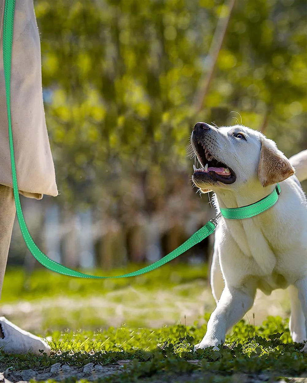 Dog Collar Bundle with 5FTx1 Width Double-Sided Reflective Dog Leash,5FT Nylon Dog Leashes with Nylon Dog Collar for Small Dogs,Teal