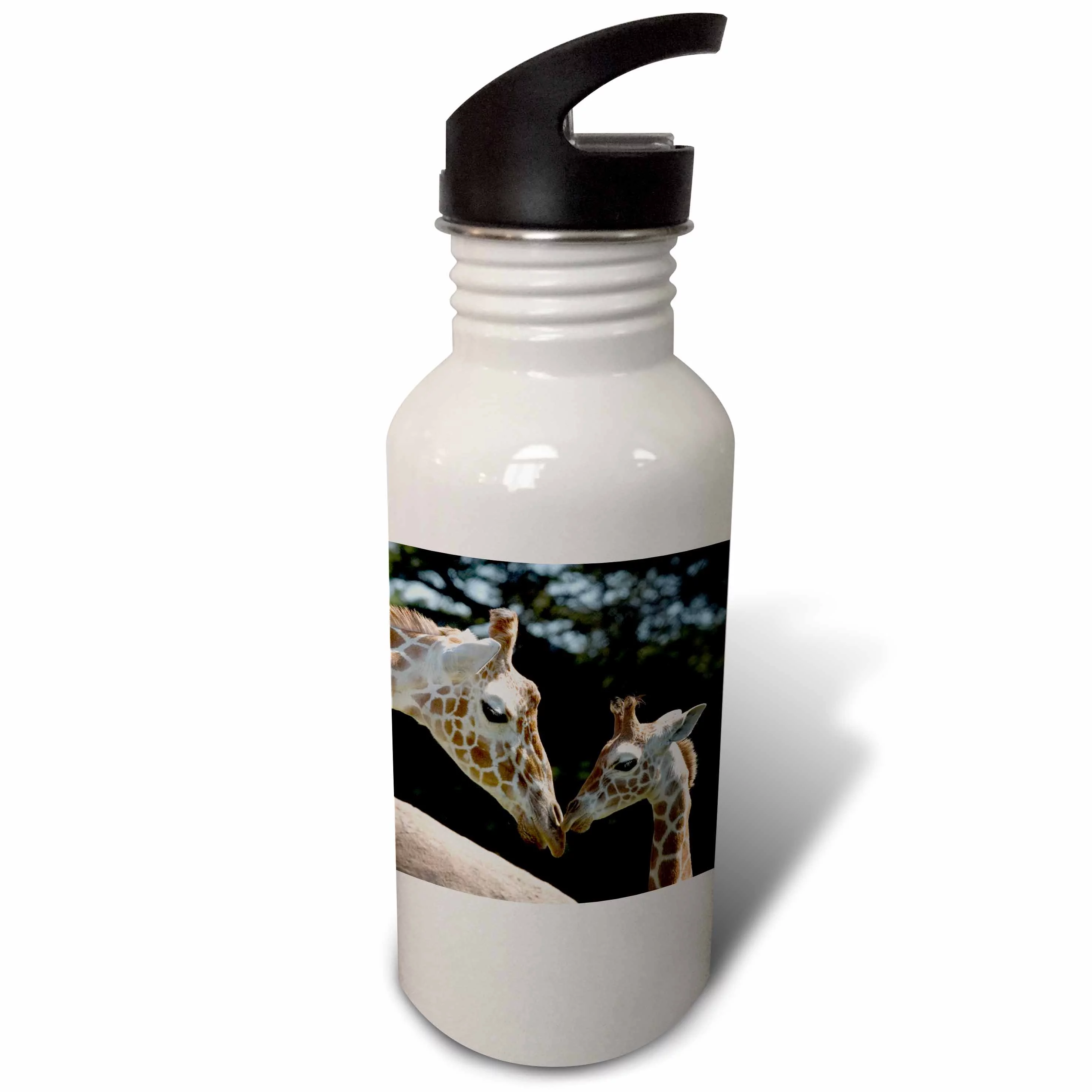 Reticulated Giraffes, San Francisco Zoo, CA - US05 TAU0050 - Tananarive Aubert 21 oz Sports Water Bottle wb-88642-1