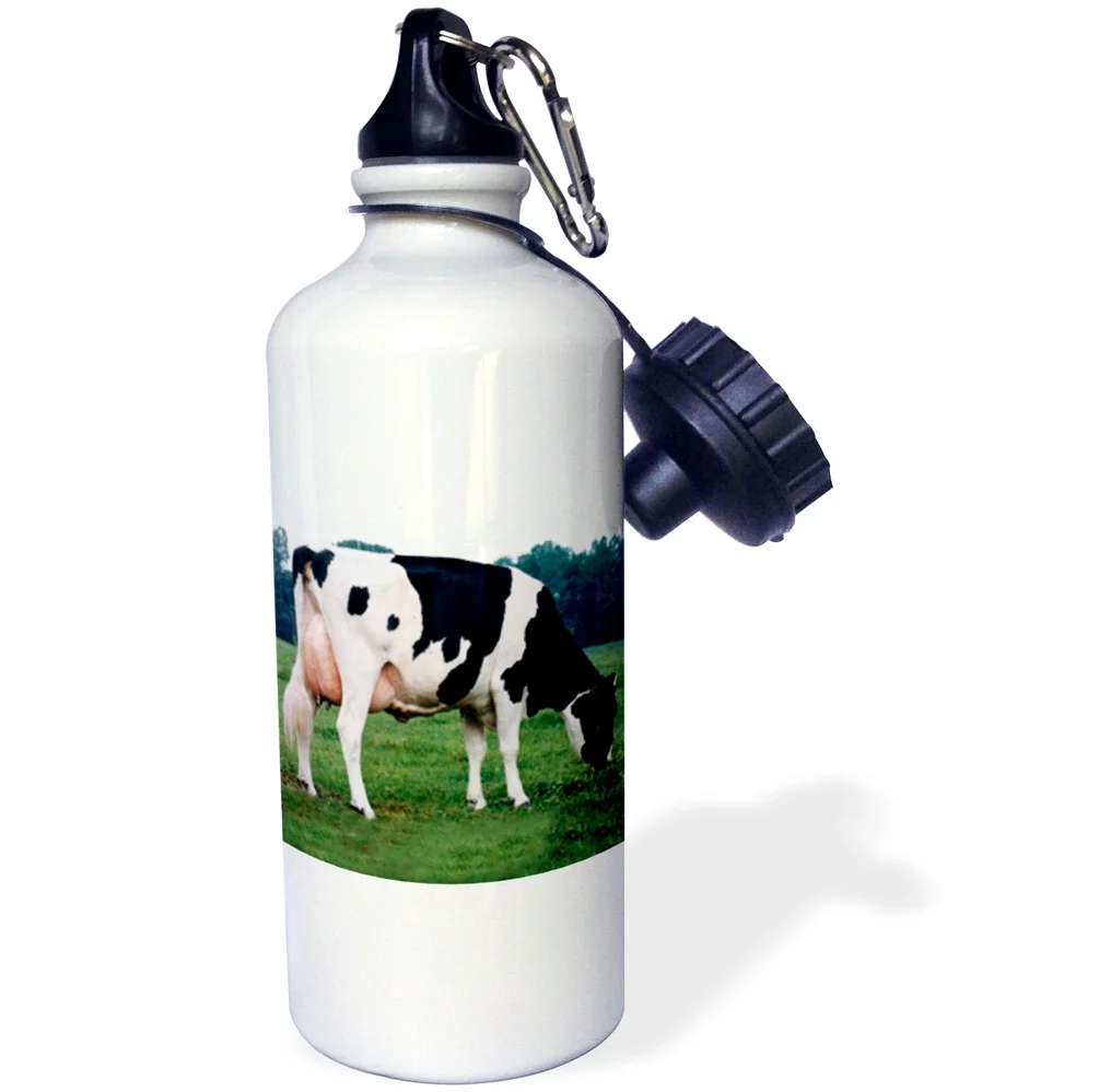 3dRose Holstein Cow, Sports Water Bottle, 21oz