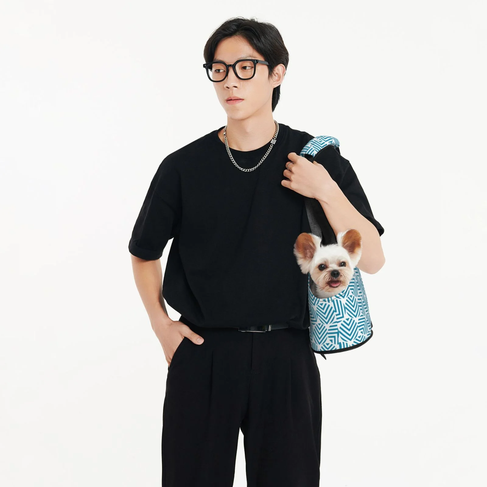 LNWH Green Modern Geometric Pattern Dog Carrier Bag, Pet Dog Carrier Purse Foldable Waterproof Pet Tote Bag for Cat and Small Dog