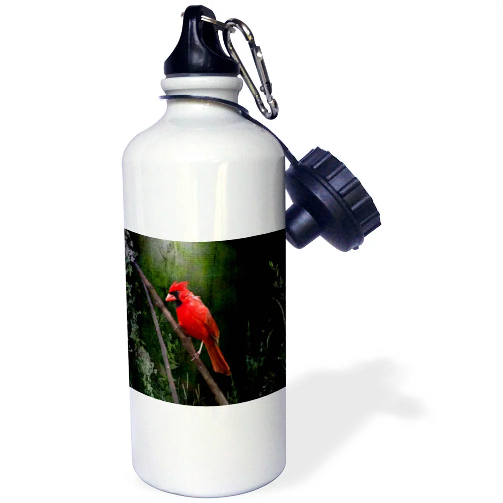 Wild Brid - Cardinal Bird in Spring - Art Home Decor 21 oz Sports Water Bottle wb-48670-1