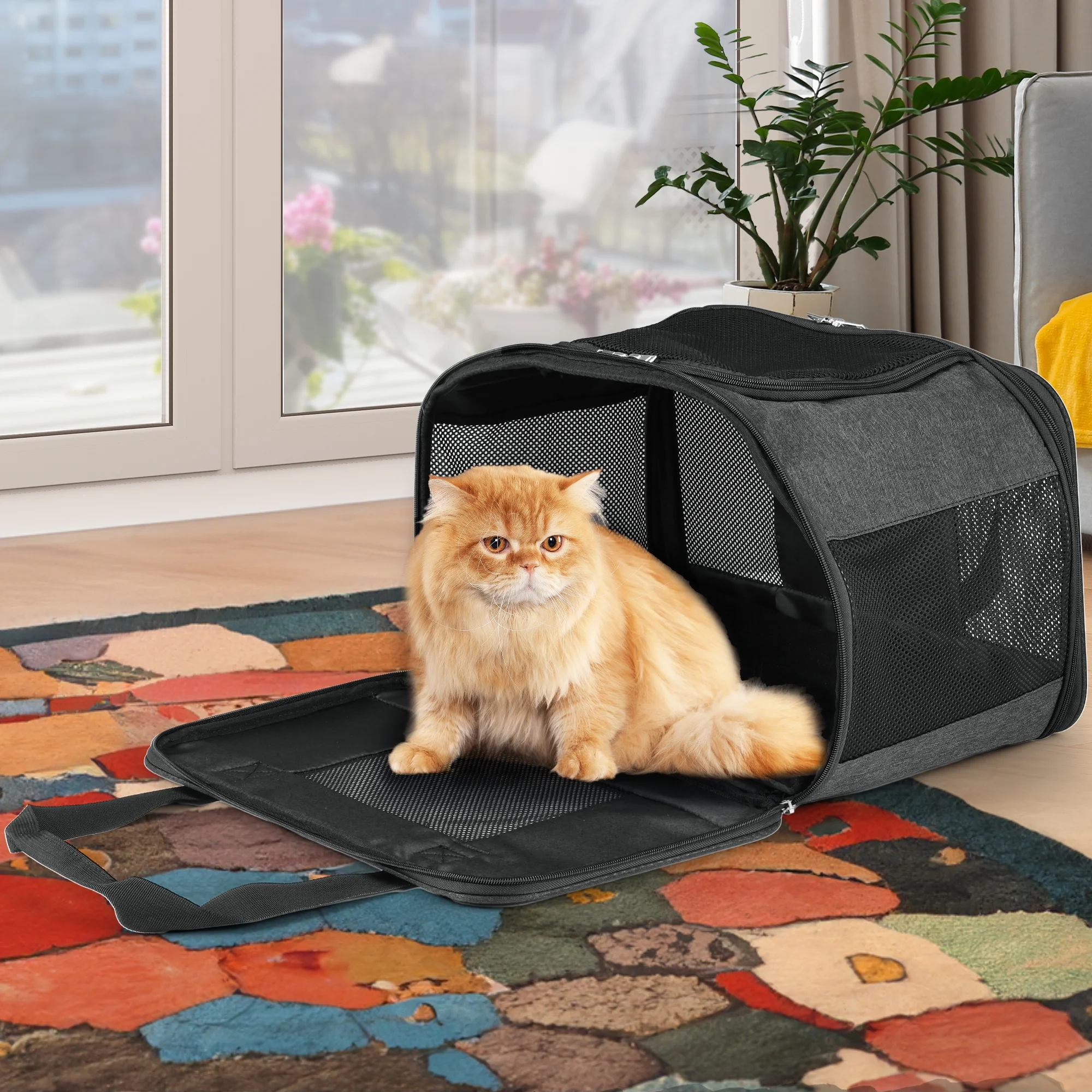 Dextrus Airline Approved Pet Carrier for Cats&Small Dogs, Collapsible and Breathable Cat Travel Bag Up to 16lbs with 5-Sided Ventilation, Bottom Protection and Washable Liner-17