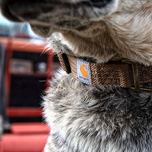 Carhartt Dog Collar Brown/Brushed Brass, Medium