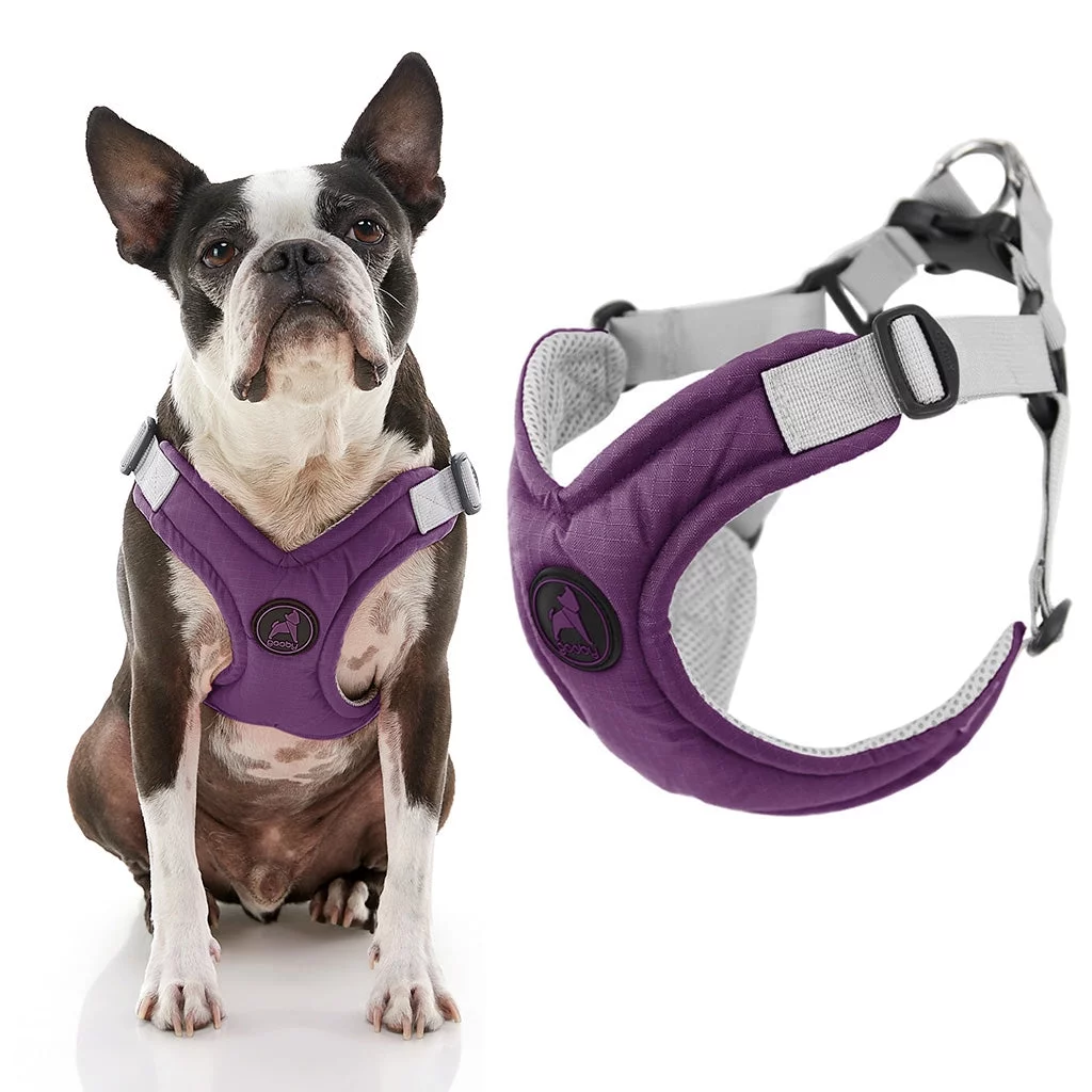 Gooby Memory Foam Step-In Harness - Purple, X-Small - Scratch Resistant Harness with Comfortable Memory Foam for Small Dogs and Medium Dogs Indoor and Outdoor use