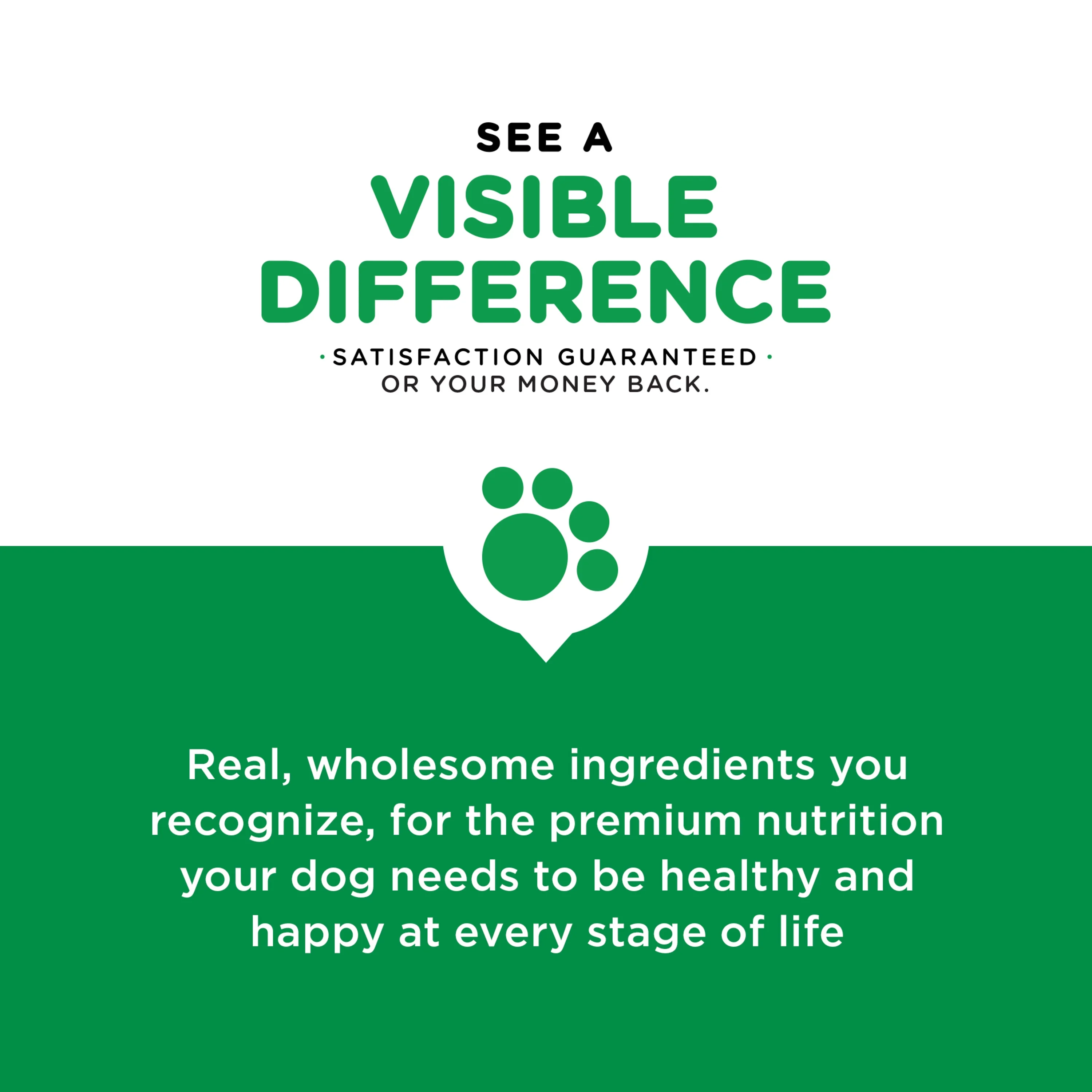 Iams Proactive Health Minichunks Adult Small Kibble Dry Dog Food With Real Chicken, 3.3 Lb. Bag