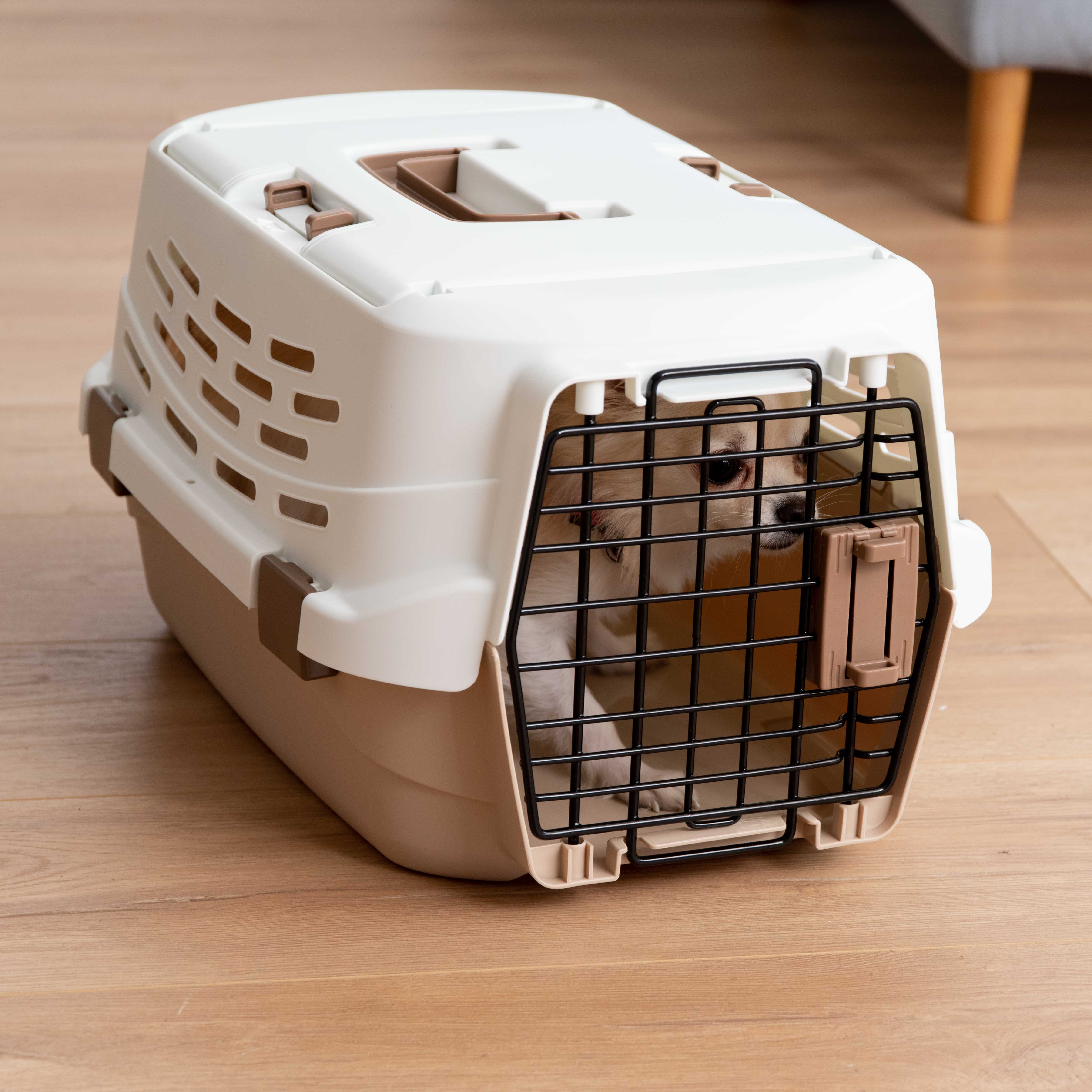 IRIS Small Easy Access Pet Travel Carrier, Off-White/Brown