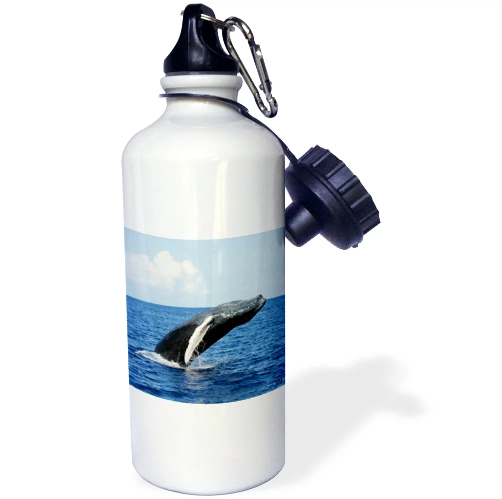 3dRose Humpback Whale , Sports Water Bottle, 21oz