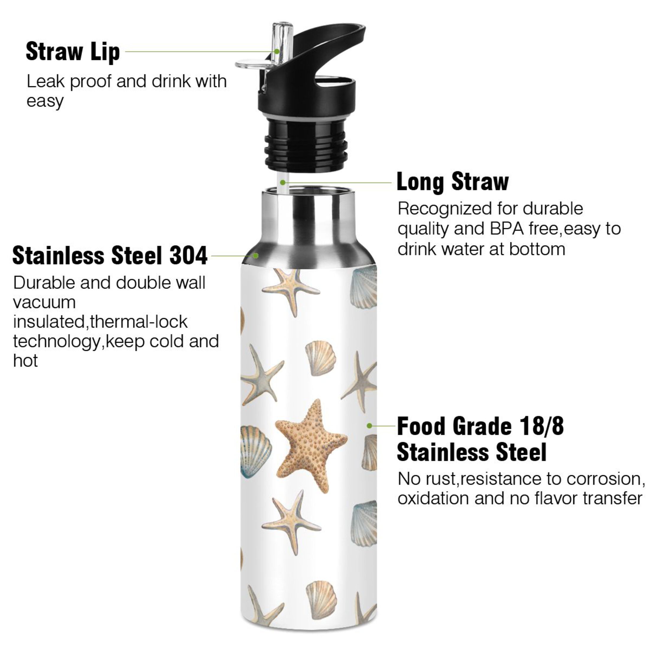 Seashells Seastars Water Bottles Insulated Thermos Kids Stainless Steel Bottle with Straw Lid Flask Leakproof for Sports Gym 20 oz