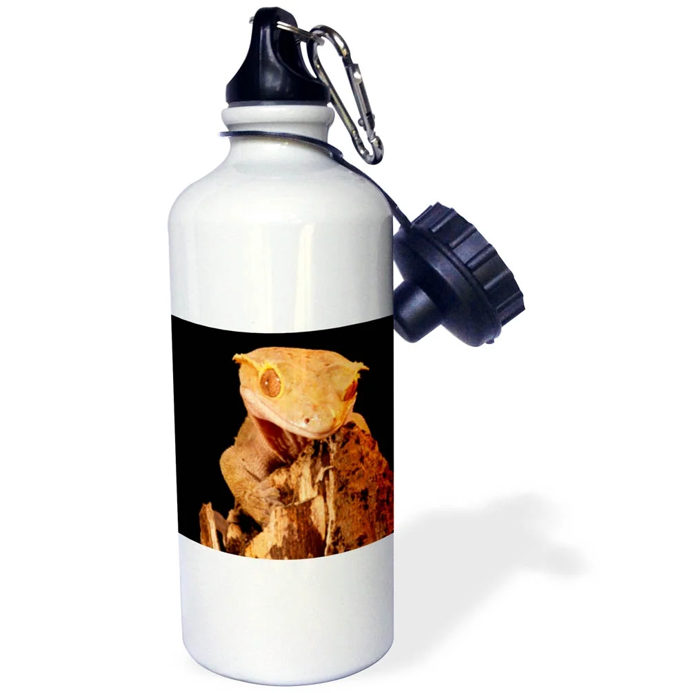 Crested Gecko lizard, Native to New Caledonia - NA02 DNO0818 - David Northcott 21 oz Sports Water Bottle wb-140106-1