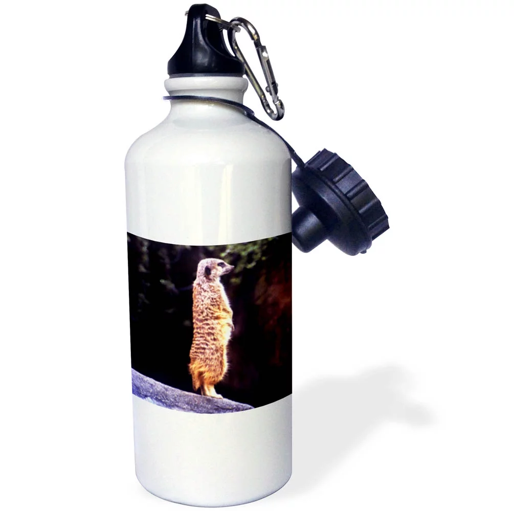 3dRose A meerkat looking around, glowing in the sunset. - Straw Water Bottle, 21-ounce