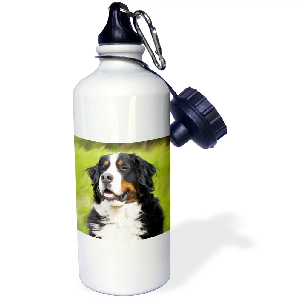 3dRose Bernese Mountain Dog, Sports Water Bottle, 21oz