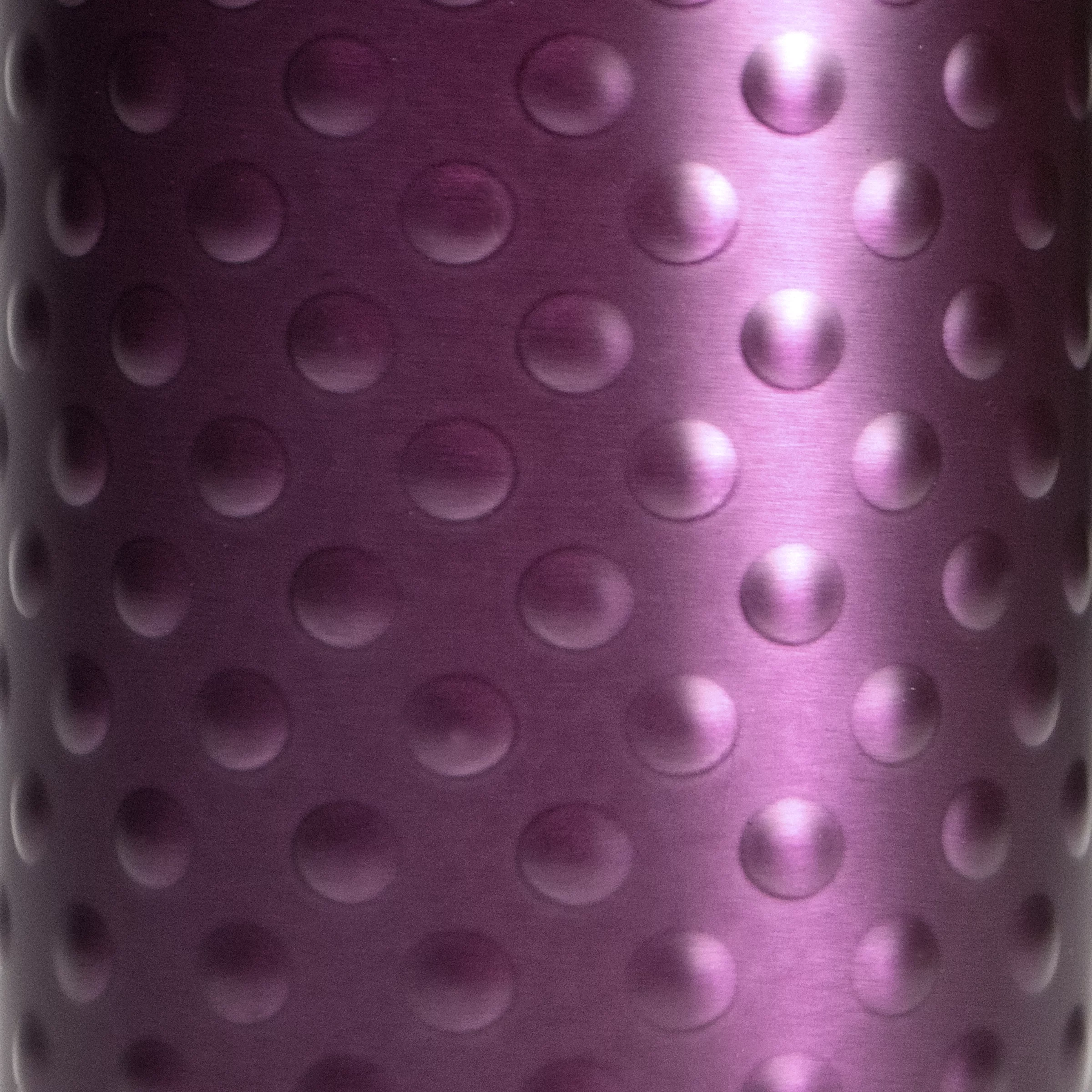 Primula Hamilton Tumbler 12 Ounce Stainless Steel Vacuum Insulated Tumbler, Thermos, Purple