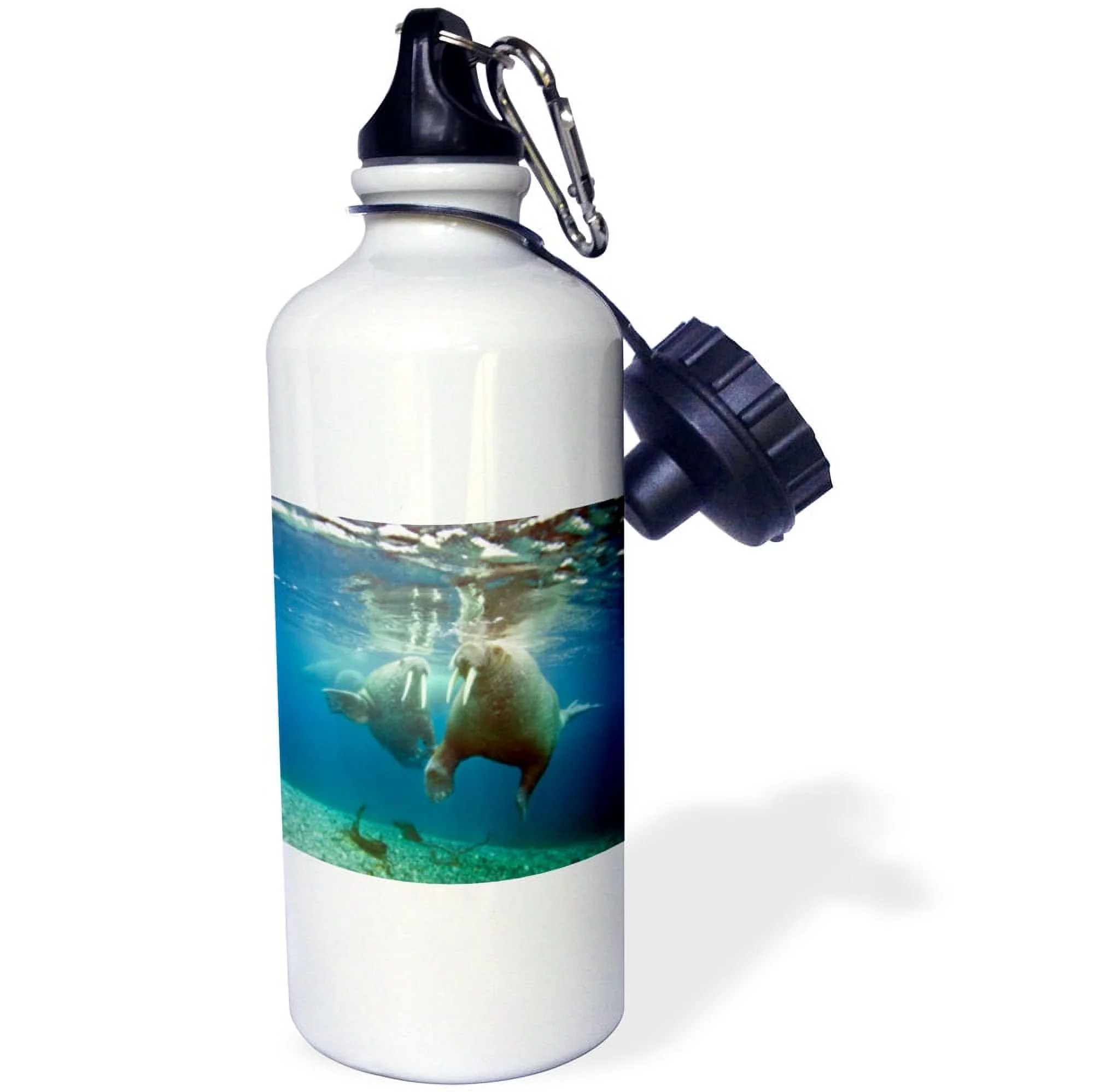 3dRose Norway, Spitsbergen, Nordaustlandet. Walrus bull swims underwater. - Water Bottle, 21-ounce