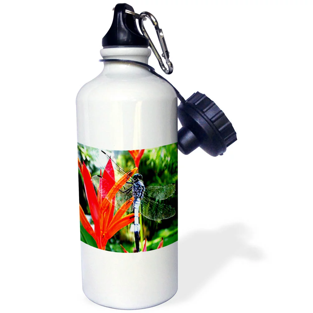Dragon Fly 21 oz Sports Water Bottle wb-780-1