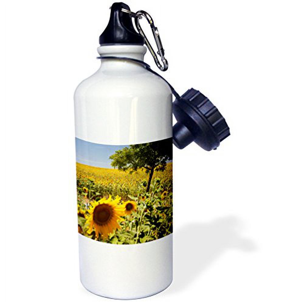3dRose Spain, Andalusia, Cadiz Province. Tree in field of sunflowers. - Water Bottle, 21-ounce