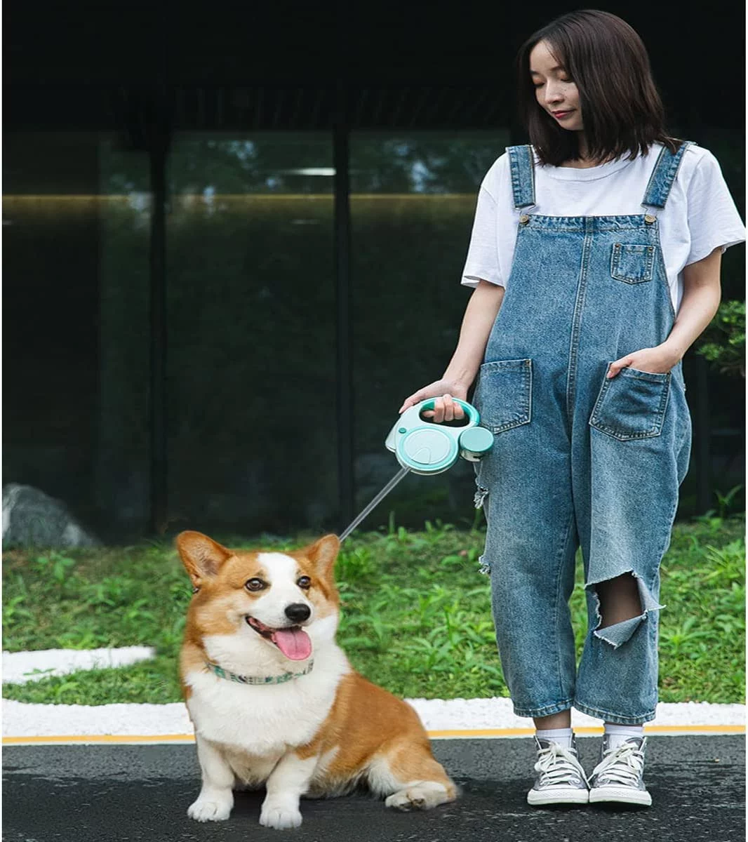 Boluotou Reflective Retractable Dog Leash Long Dog Leash, Dog Walking Leash with Comforatble Handle & LED Light, 16FT Premium Lead Leash for Small Medium Large Dogs Tactical Leash, Pink