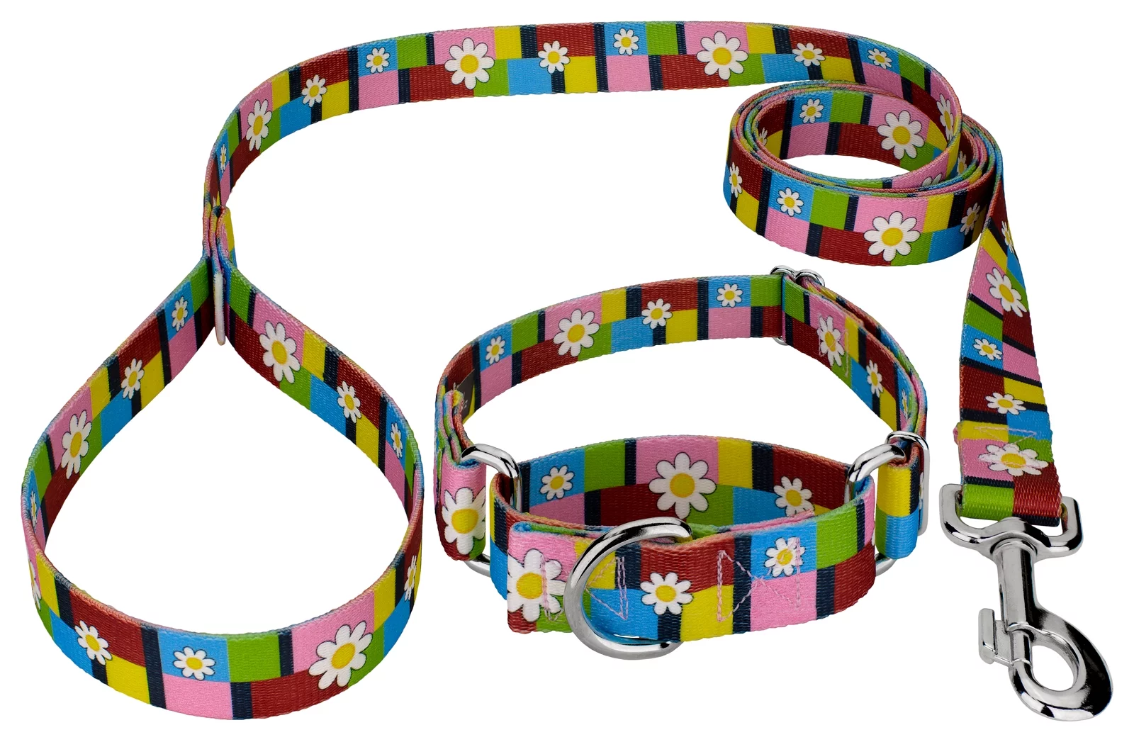 Country Brook Design® Spring Daisies Martingale Dog Collar and Leash, Mini