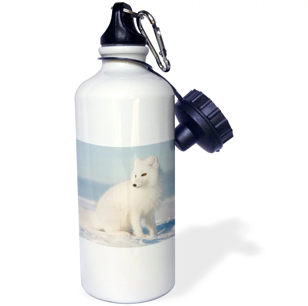 3dRose Alaska, 1002 Coastal Plain, ANWR, arctic fox - US02 SKA4921 - Steve Kazlowski, Sports Water Bottle, 21oz