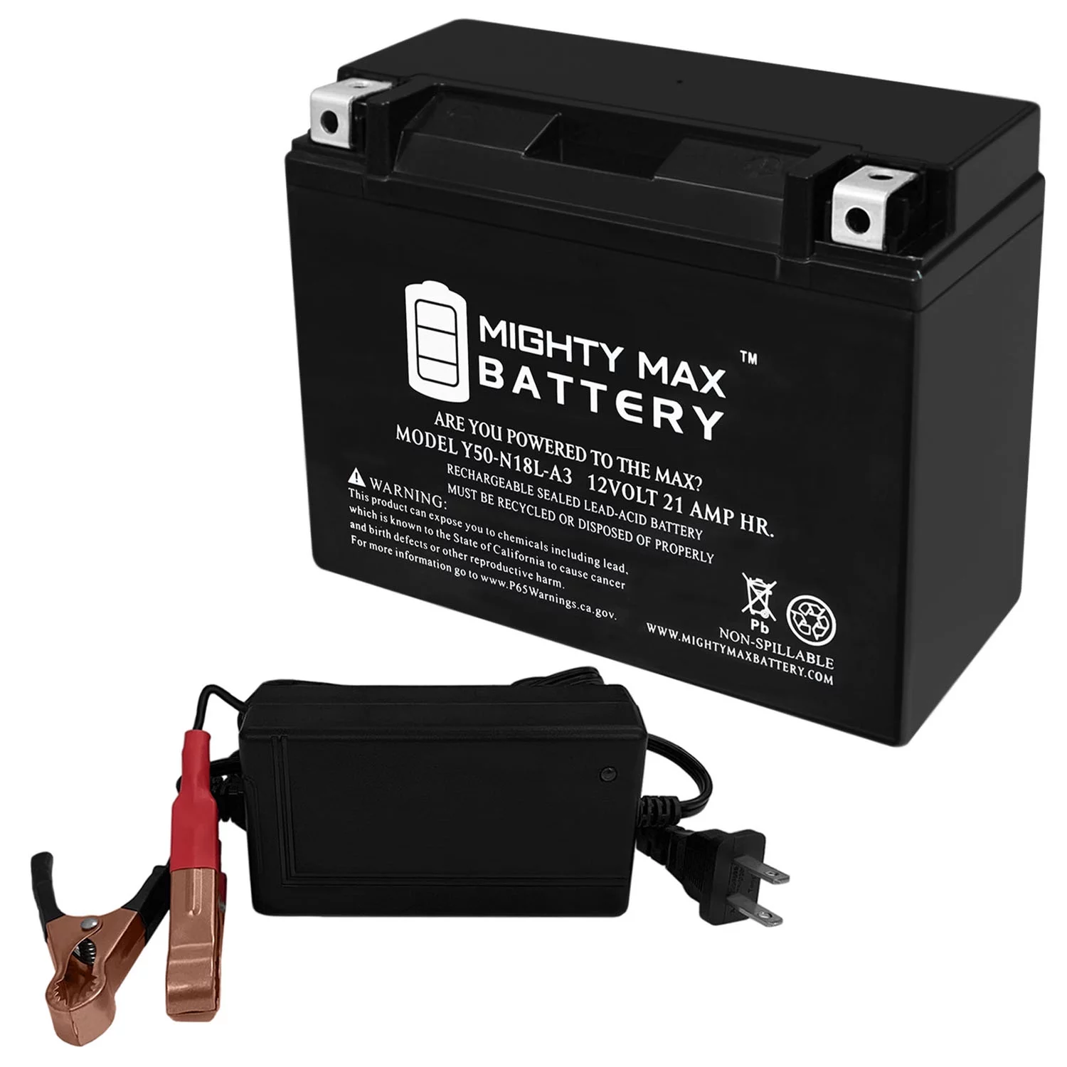 Y50-N18L-A3 Replacement Battery for MTD 800 Series Riding Lawn Mower + 12V 4Amp Charger