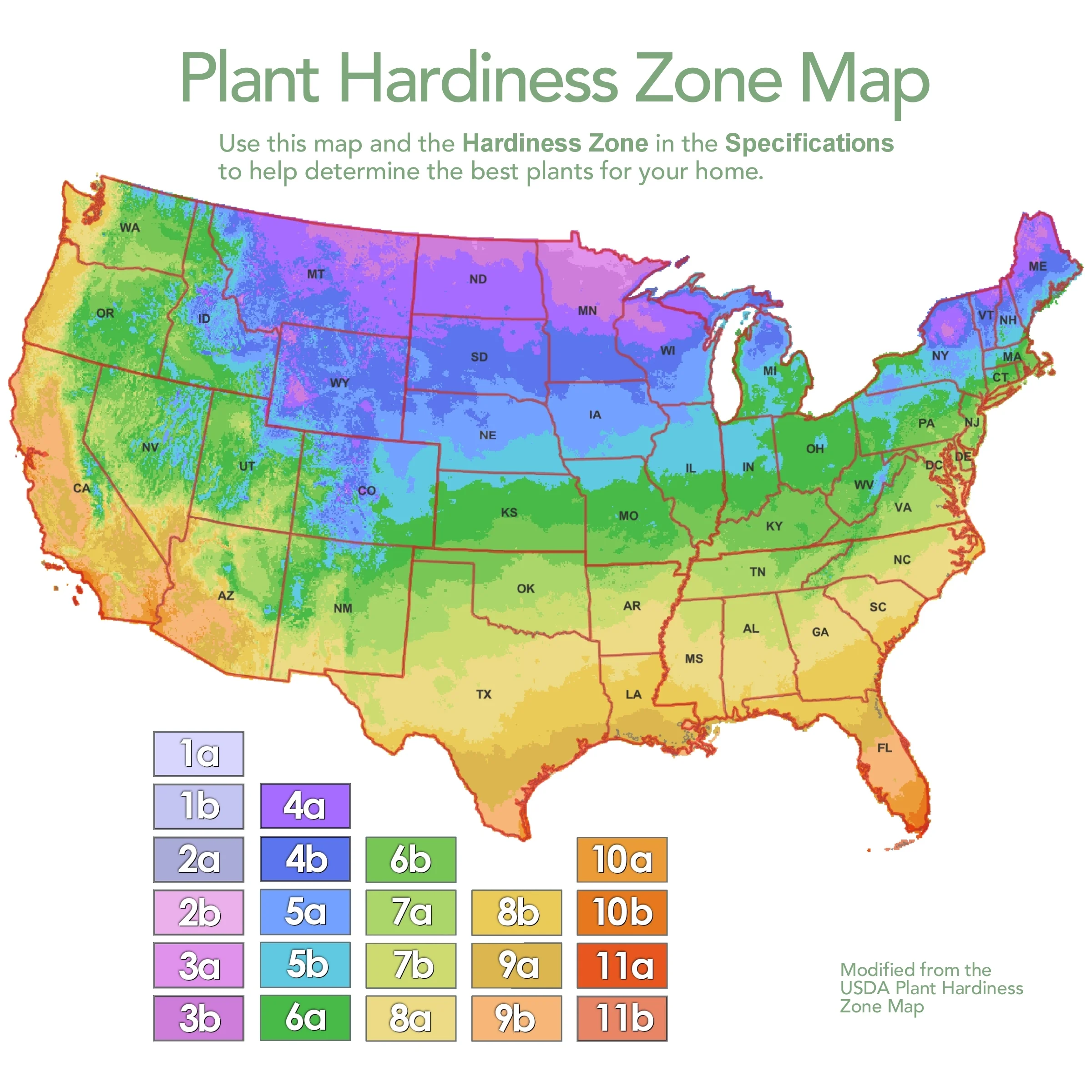 2 gal. Hydrangea Violet Crown Shrub with Purple Flowers