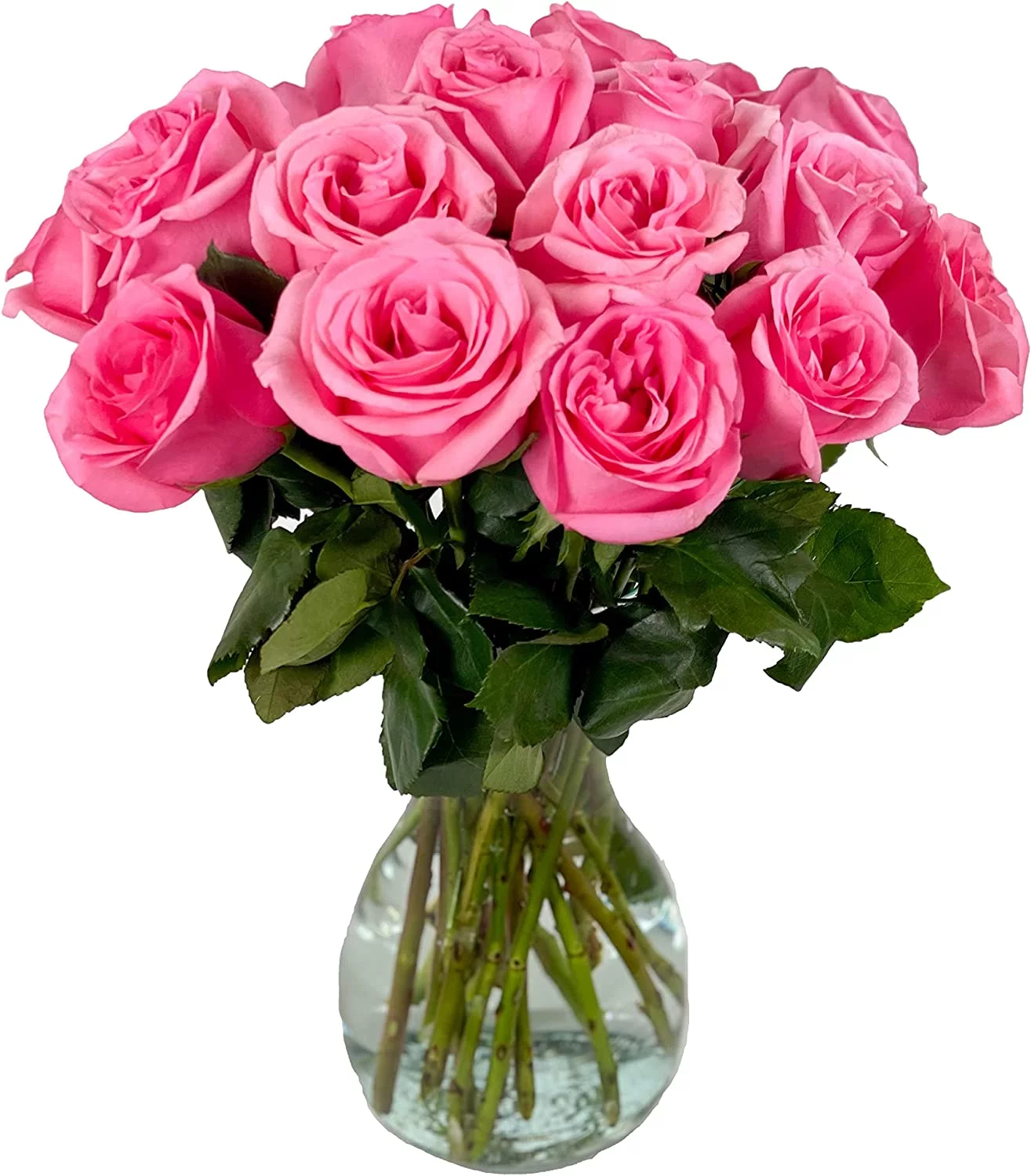 Arabella Farm Direct Bouquet of 18 Fresh Cut Pink Roses with a Free Glass Vase