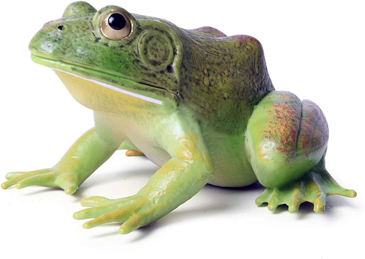 Tree Frog Realistic Hand Painted Toy Bullfrog Figurine Model Quality Construction Soft Rubber Animals Educational and Role Play Toys for Ages 3 and Up Kids