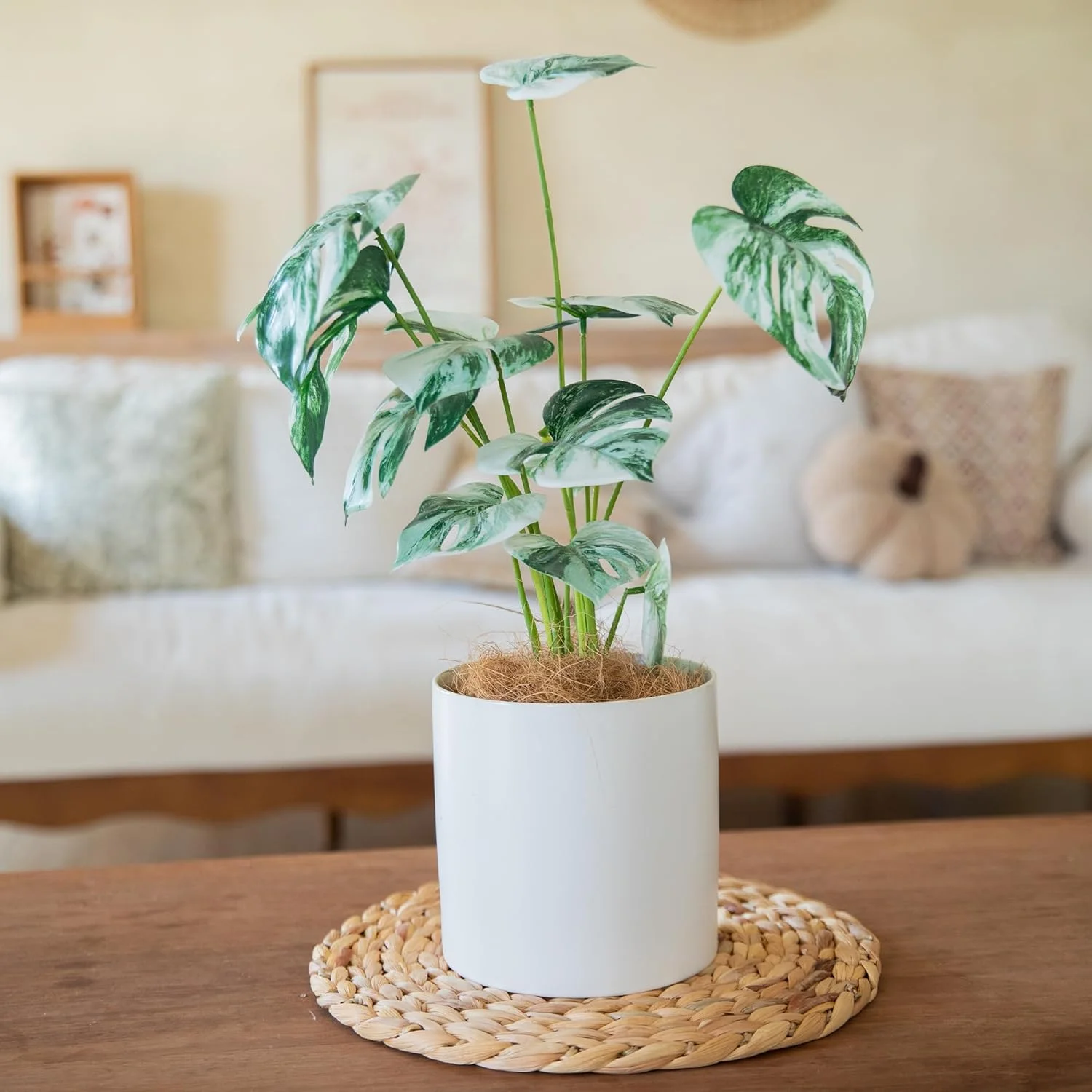 Defined Deco Woven Placemats Set of 6,13