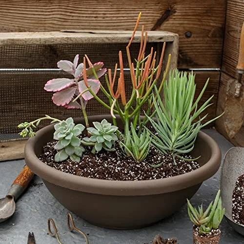 The HC Companies 24 Inch Large Garden Bowl Planter - Shallow Plant Pot with Drainage Plug for Indoor Outdoor Flowers, Herbs, Chocolate