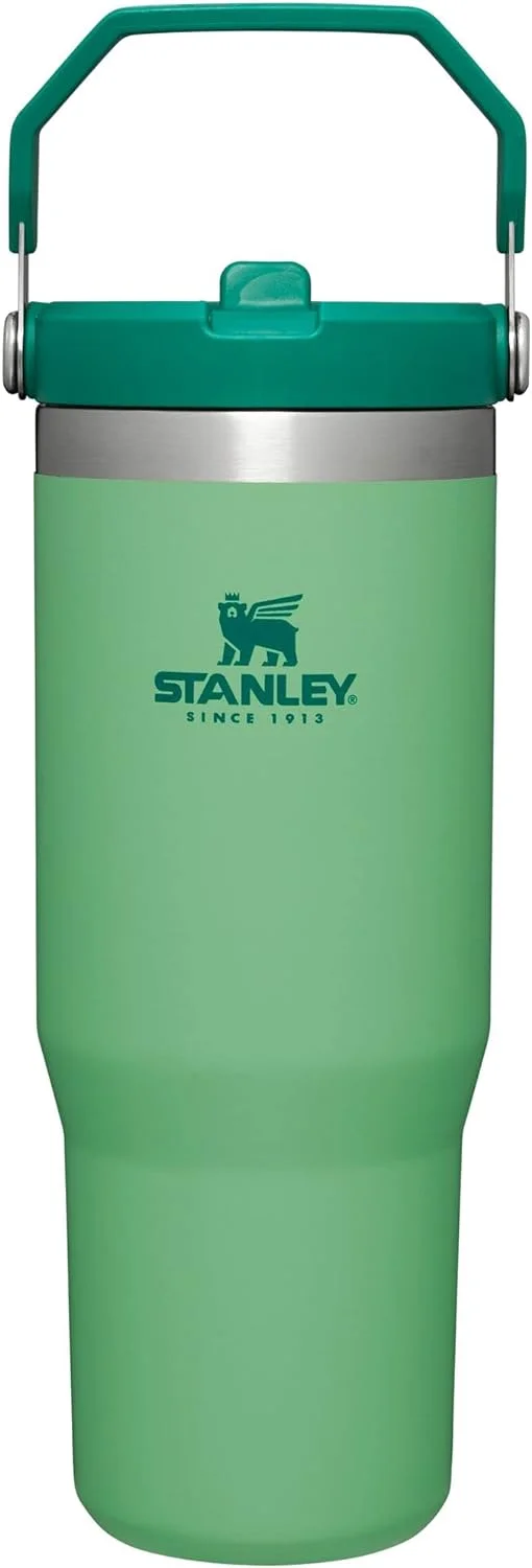 Stanley IceFlow Stainless Steel Tumbler with Straw, Vacuum Insulated Water Bottle for Home, Office or Car, Reusable Cup with Straw Leak Resistant Flip