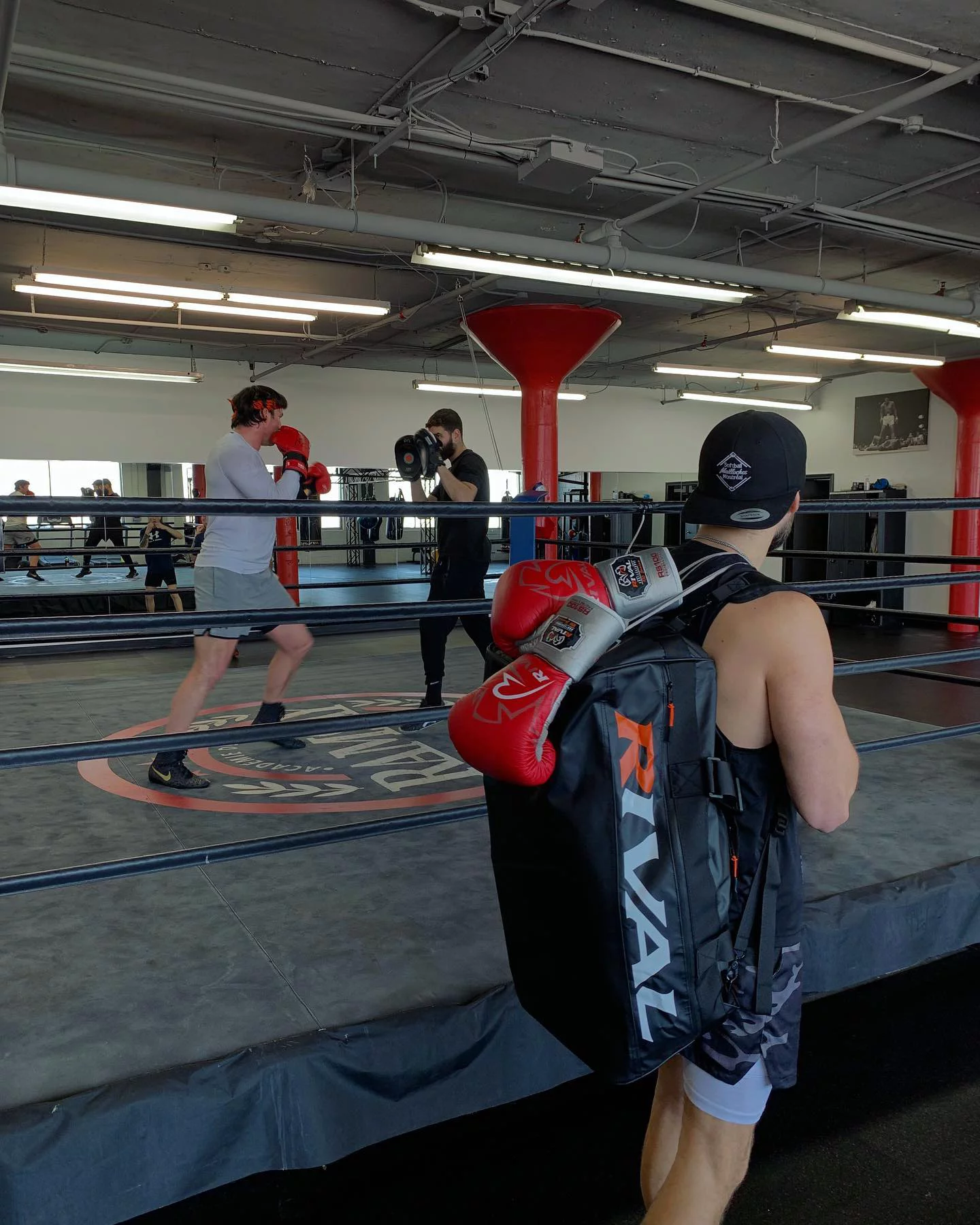 Rival Boxing RS100 Pro Sparring Boxing Gloves - 14 oz. - Blue/Silver