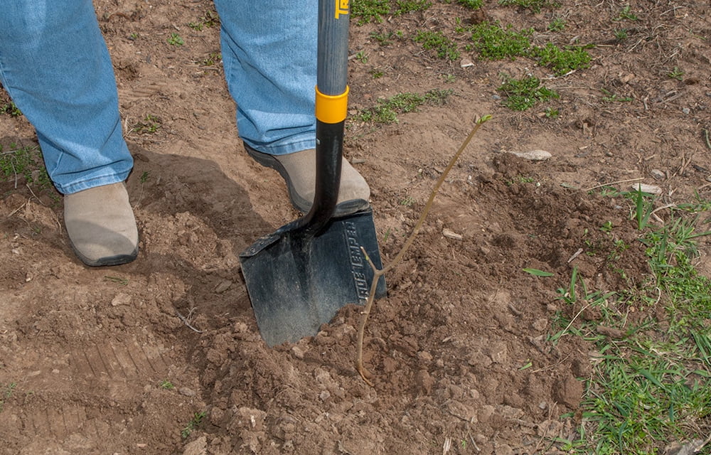 The Ames Companies, Inc 2584300 True Temper Digging Shovel with Fiberglass Handle