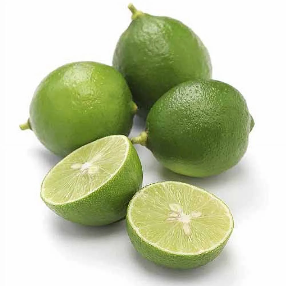 Bloomsz Citrus Fruit Tree Thornless Key Lime, 1-Year Old, 32