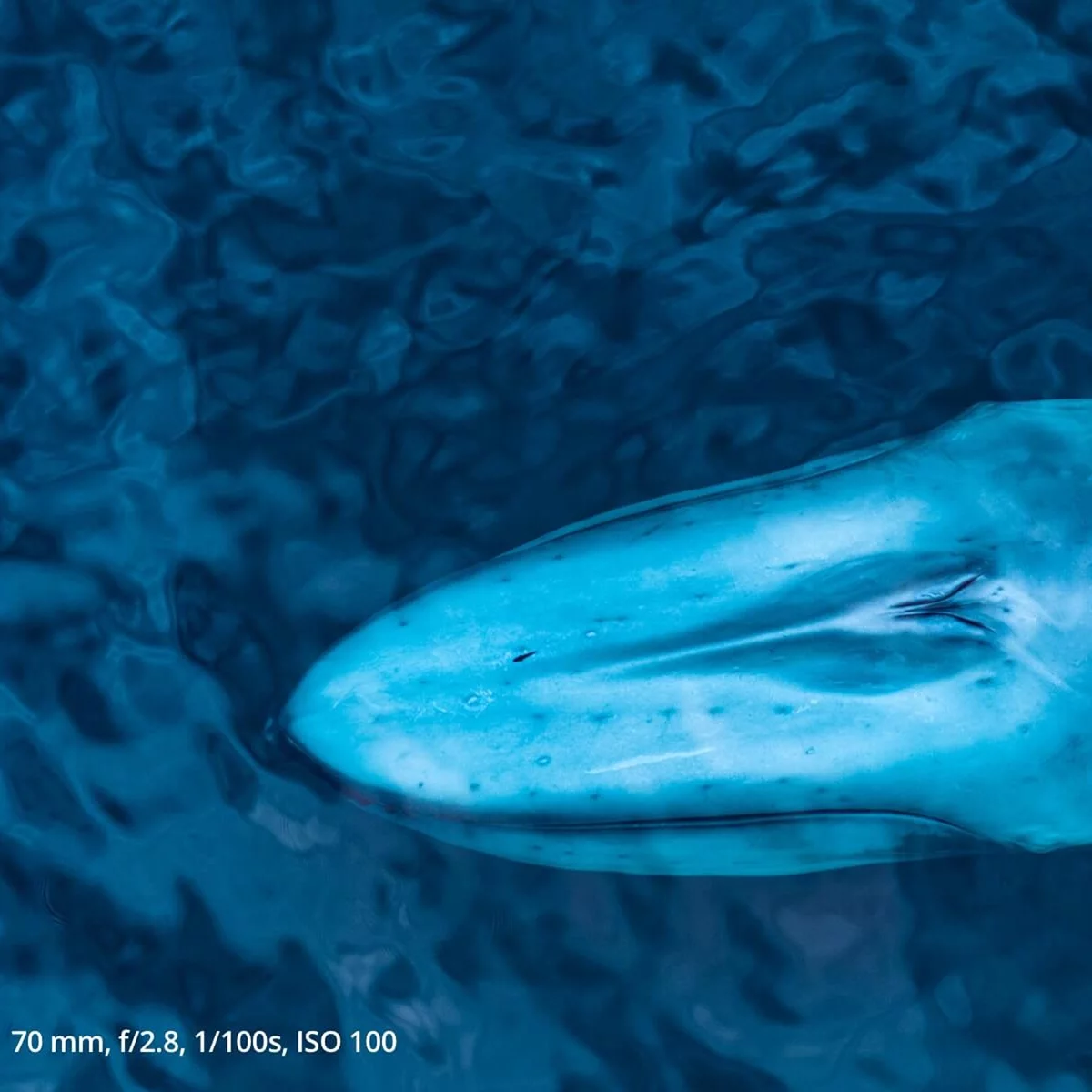 DJI Mavic 3 Pro with DJI RC (Screen Remote Controller), Flagship Triple-Camera Drone with 4/3 CMOS Hasselblad Camera, 43-Min Flight Time, and 15km HD Video Transmission - (Open Box)