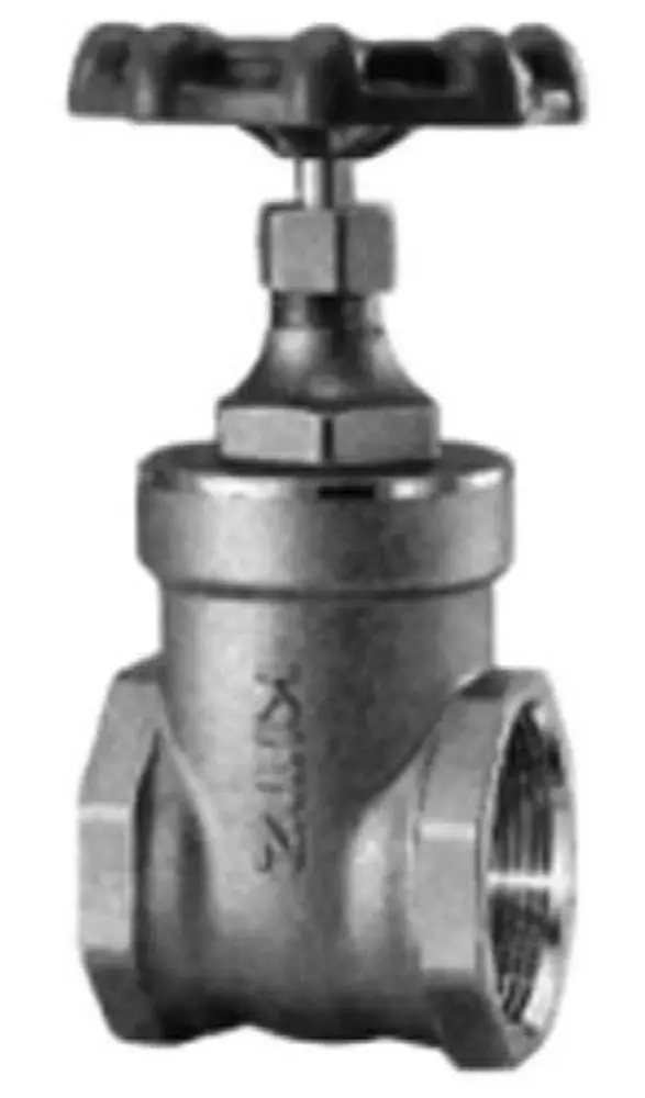 Kitz Forged Brass FNPT Gate Valve - Texas Outlet