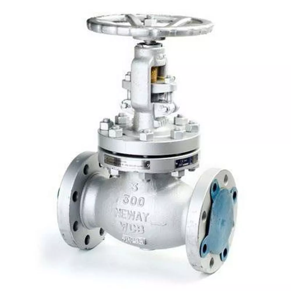 Neway Valve Steel Regular Port Flanged Gate Valve Texas Outlet