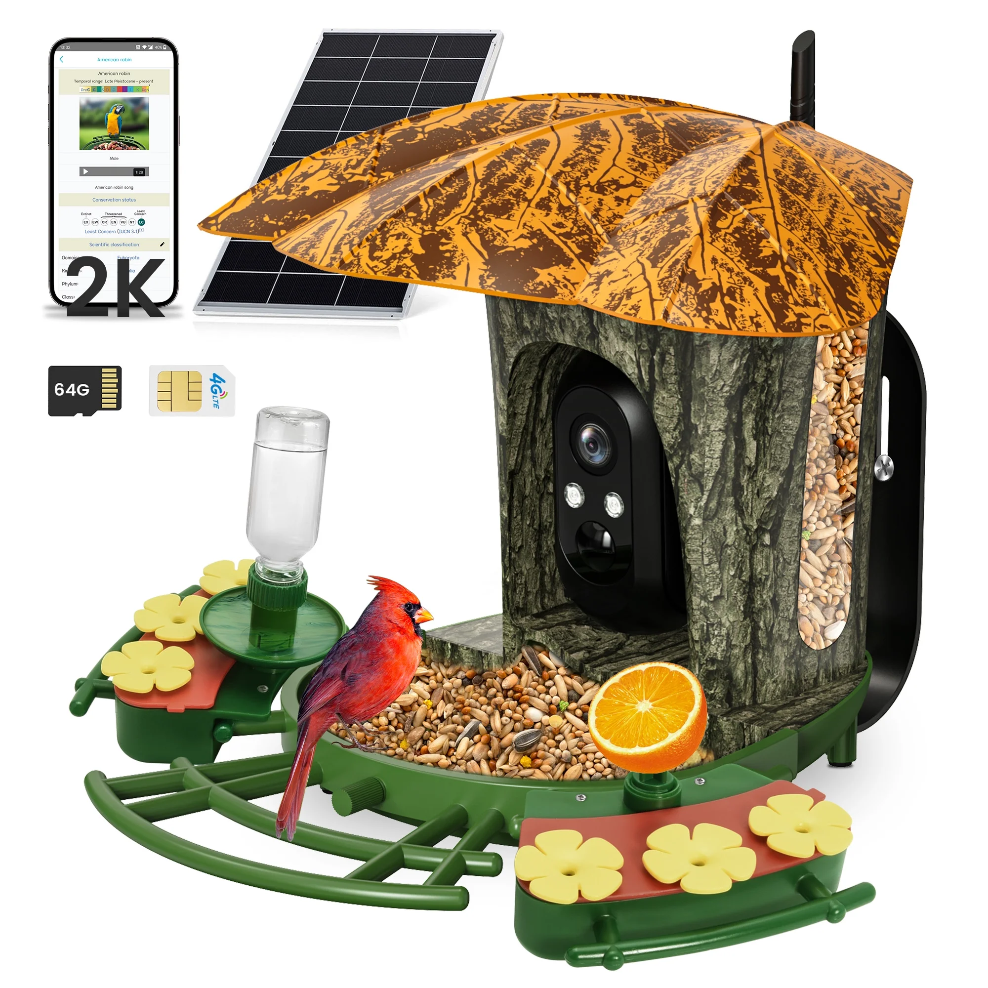 Xecessory Upgraded Smart Bird Feeder with Camera, [4G&2K HD] Bird Camera with Solar Panel, Night Vision AI Bird Identify, DIY Add-Ons & Hummingbird Feeder