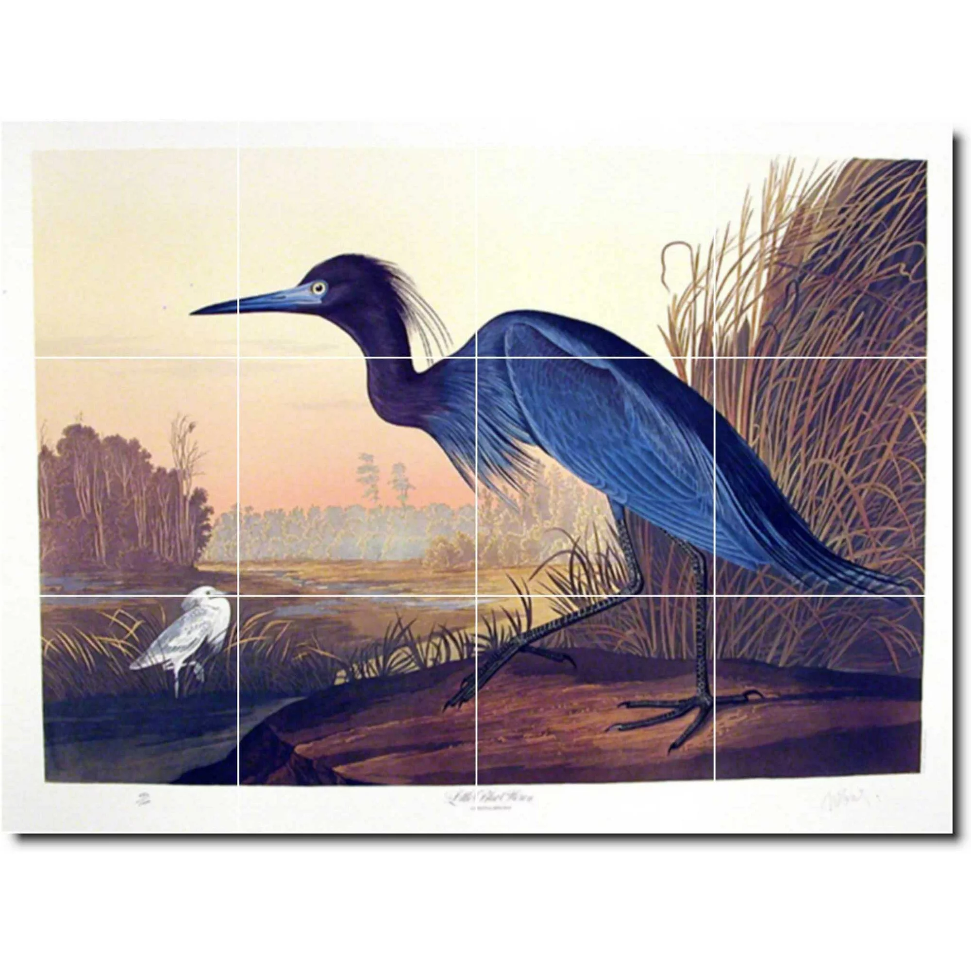 Ceramic Tile Mural-John Audubon Birds Painting 31. 24