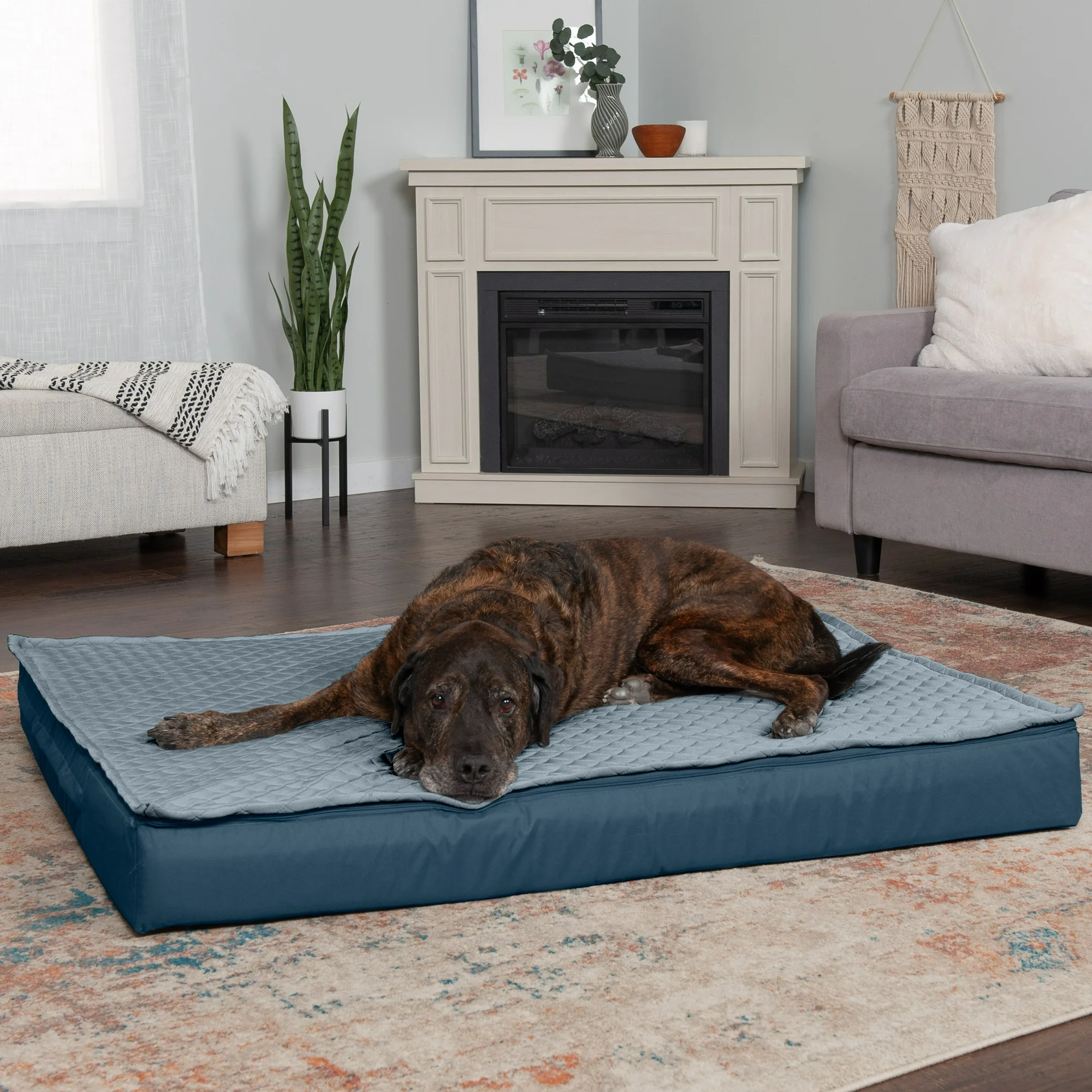 FurHaven Pet Products Quilt-Top Convertible Indoor-Outdoor Deluxe Memory Top Pet Bed for Dogs & Cats - Calm Blue, Jumbo Plus