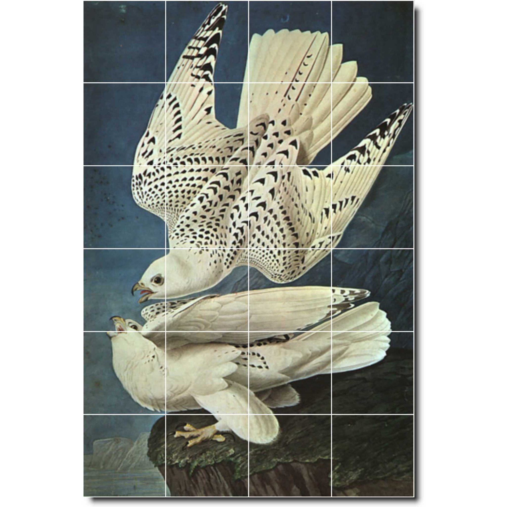 Ceramic Tile Mural-John Audubon Birds Painting 43. 17