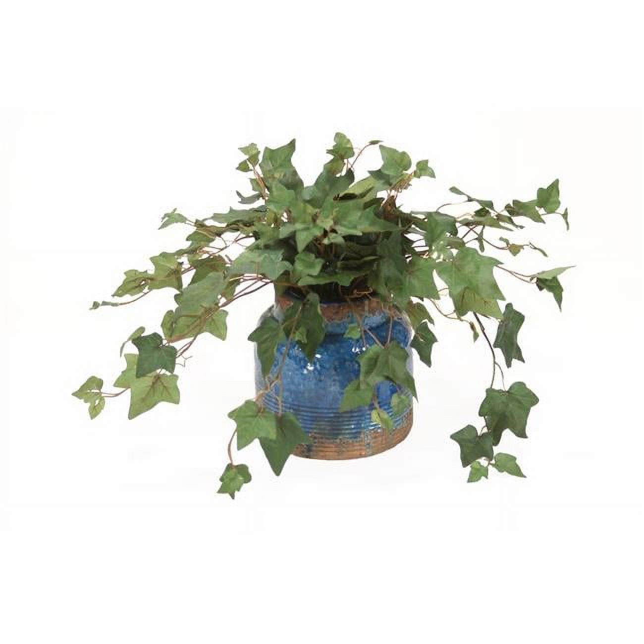 Unisex Ivy in Rustic Blue Pot - Green
