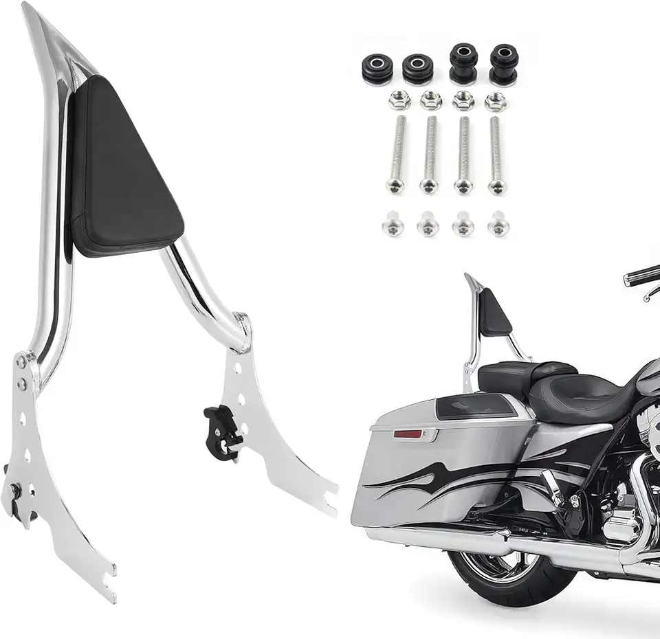 Sissy Bar for Harley Sportster 2004-2023, 13