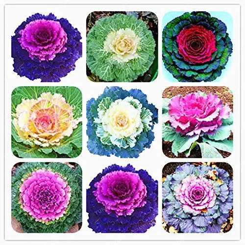 Men's Cycling Jersey Set Bike Jersey Bicycle Winter Thermal Fleece Long Sleeve Suit C3