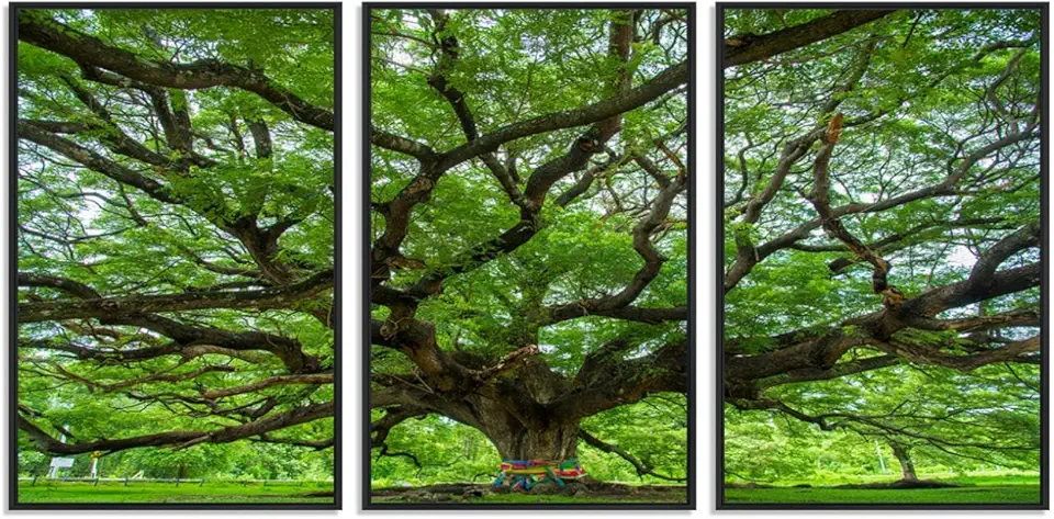 Oak Tree Wall Art Print, Forest Canvas Wall Art for Home and Office, Framed Angel Oak Tree Canvas 3 Panel Floating Frame/Black / 90