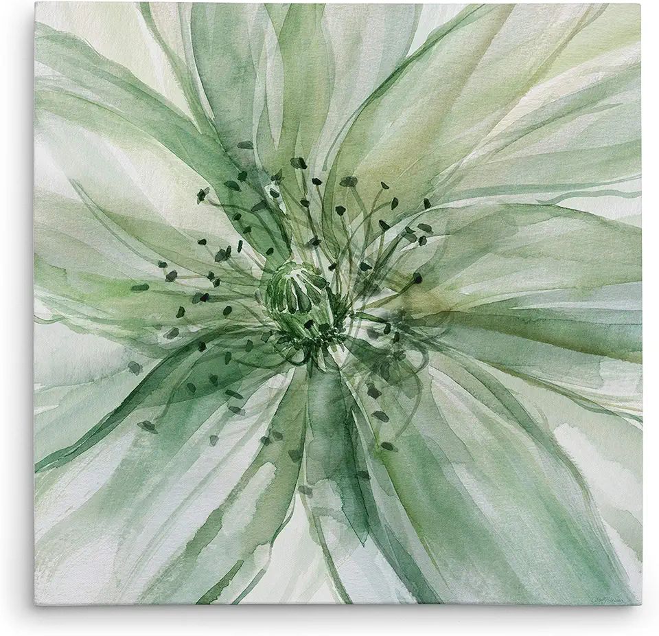 Wexford Home Macro Sage Flower II Gallery Wrapped Canvas Wall Art, 40x40,