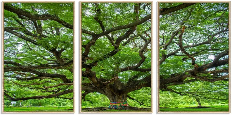 Angel Oak Tree Canvas Wall Art – Framed Forest Landscape Print for Home Décor and Office Decoration 3 Panel Floating Frame/Natural / 90